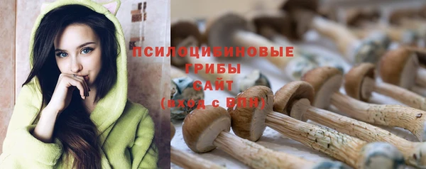 Альфа ПВП Белокуриха